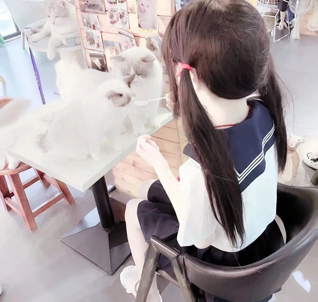 微信图片_20240519101406.jpg