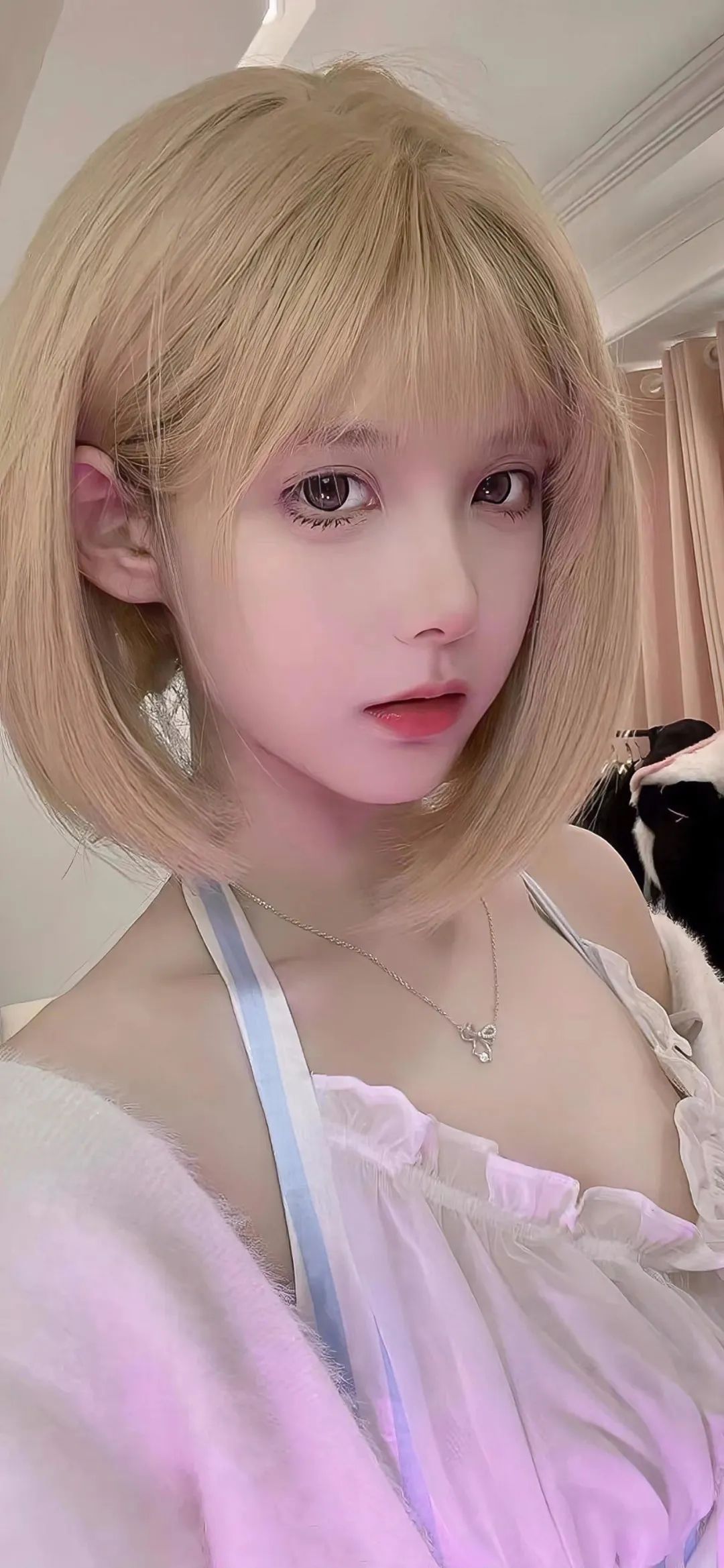 微信图片_20230124185016.jpg